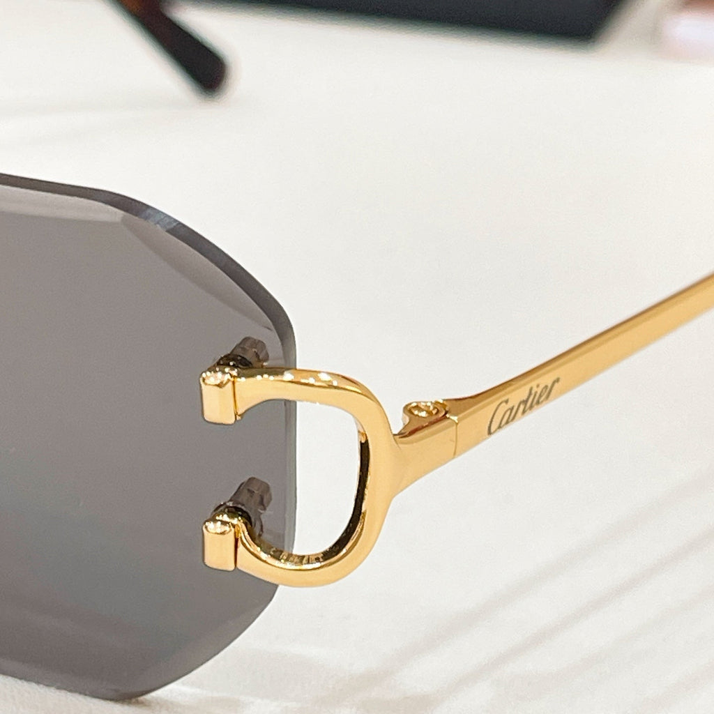 Cartier CT0092O Eyeglass Frames