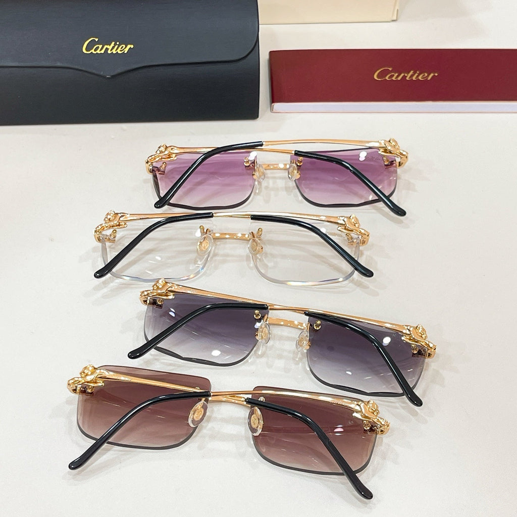 Cartier CT0281O Eyeglass Frames