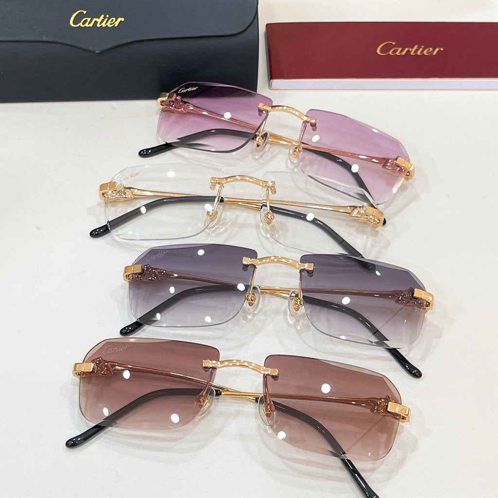 Cartier CT0281O Eyeglass Frames