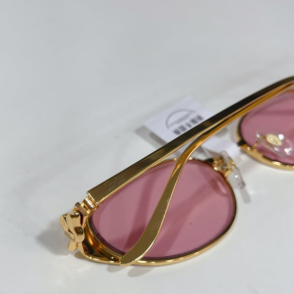 Cartier CT0630S Sunglasses