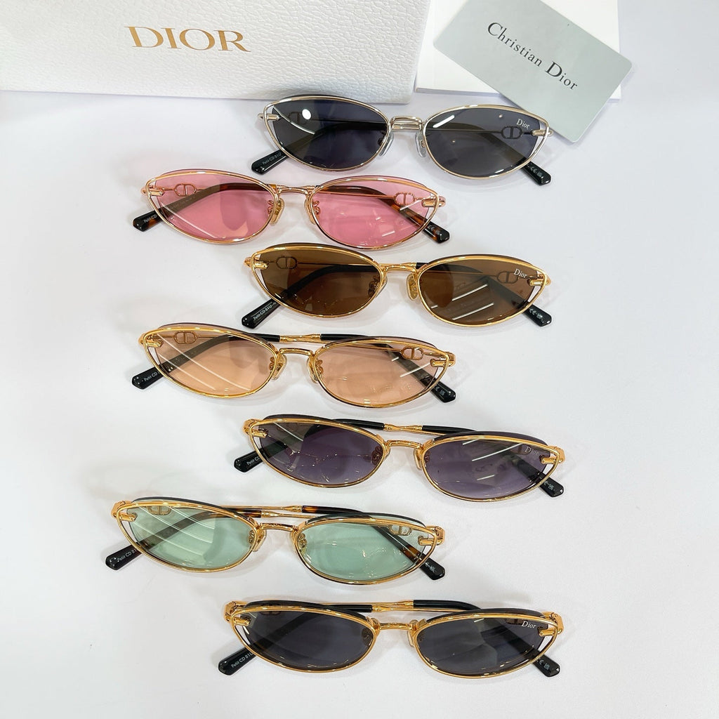 Dior Petit CD B1U Sunglasses