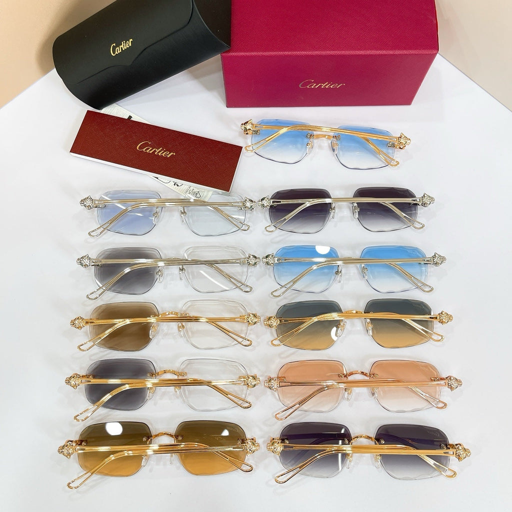 Cartier CT7072S Sunglasses