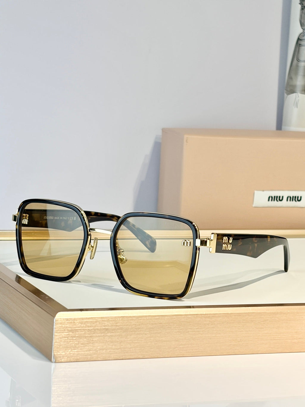Miu Miu MU B19 Sunglasses