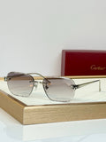 Cartier CT7450S Sunglasses