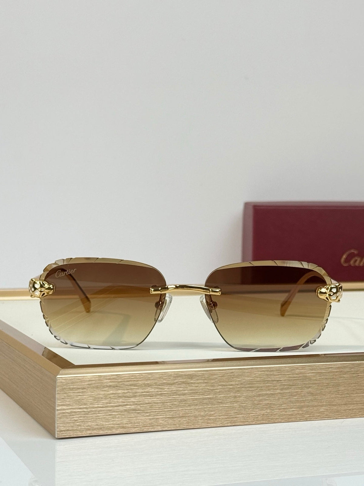 Cartier CT7450S Sunglasses