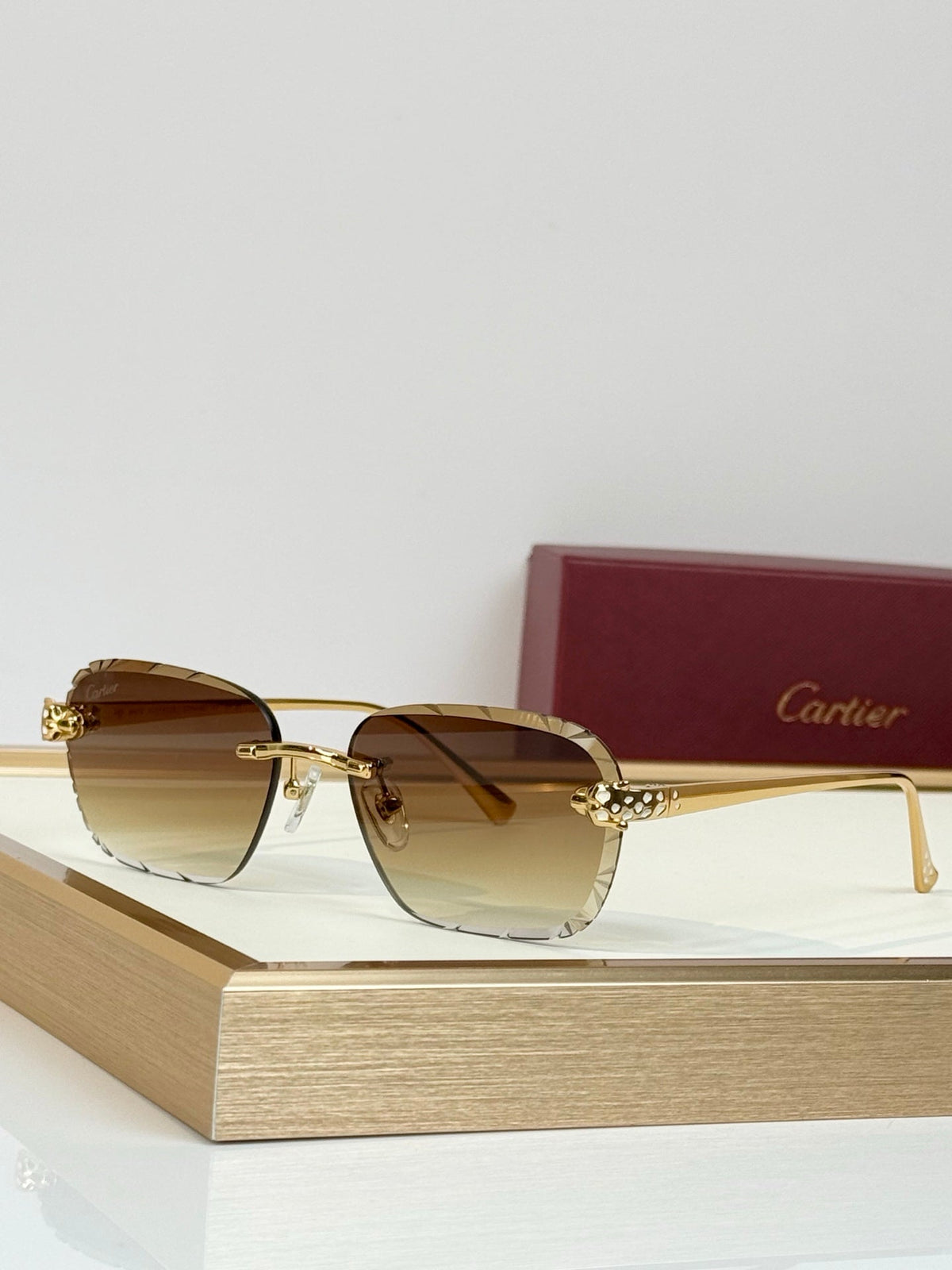 Cartier CT7450S Sunglasses