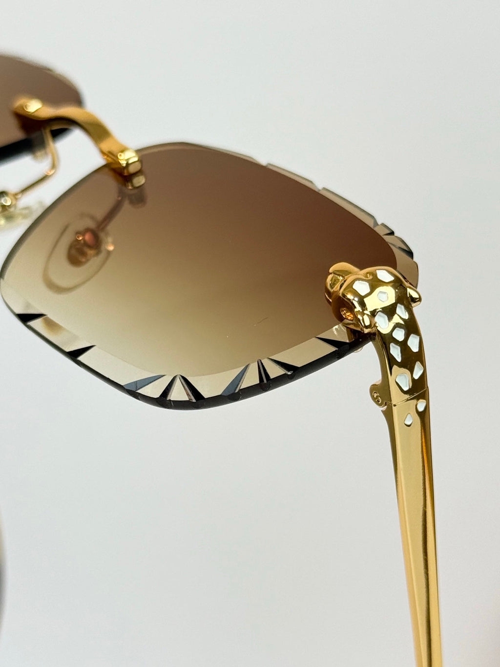 Cartier CT7450S Sunglasses