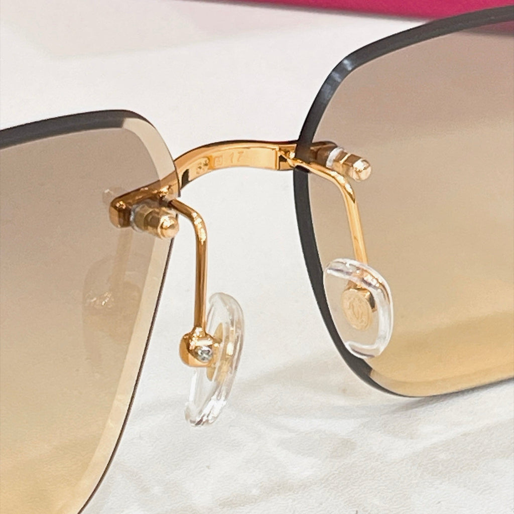 Cartier CT7440S Sunglasses
